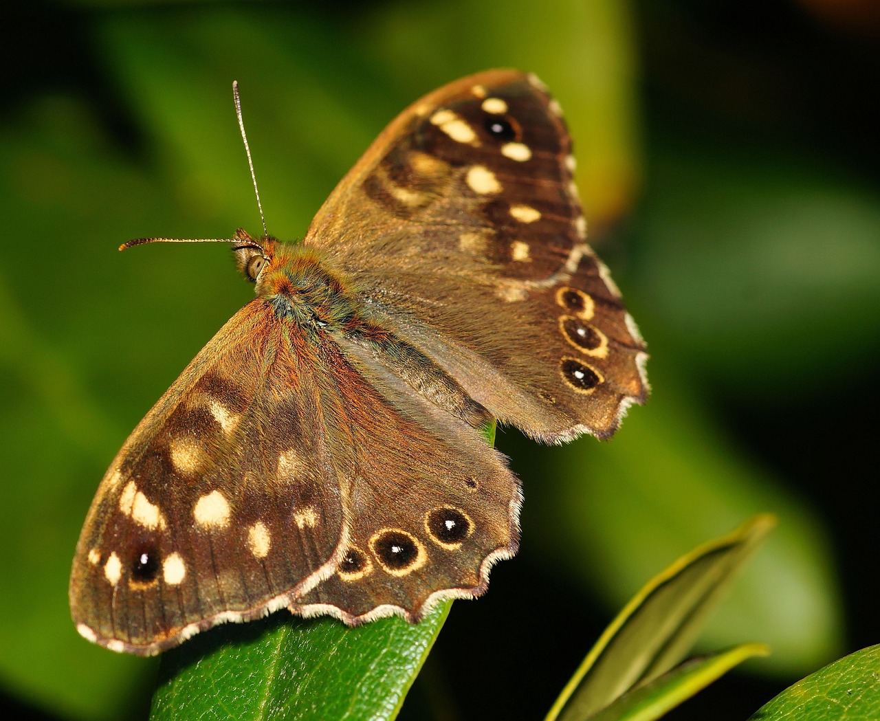 10 Easy Crafts for Teaching Kids About Nature